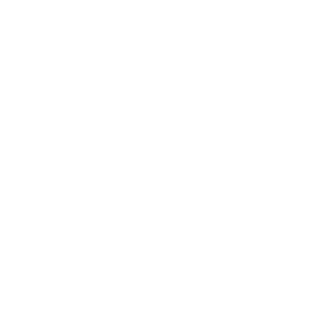 logoipsum-284-2.png